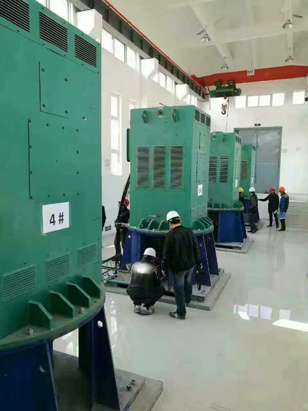 印江某污水处理厂使用我厂的立式高压电机安装现场