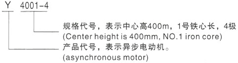 西安泰富西玛Y系列(H355-1000)高压印江三相异步电机型号说明
